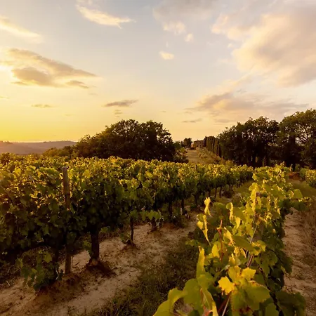 Вилла Asciano 20 By Mmega Трекуанда